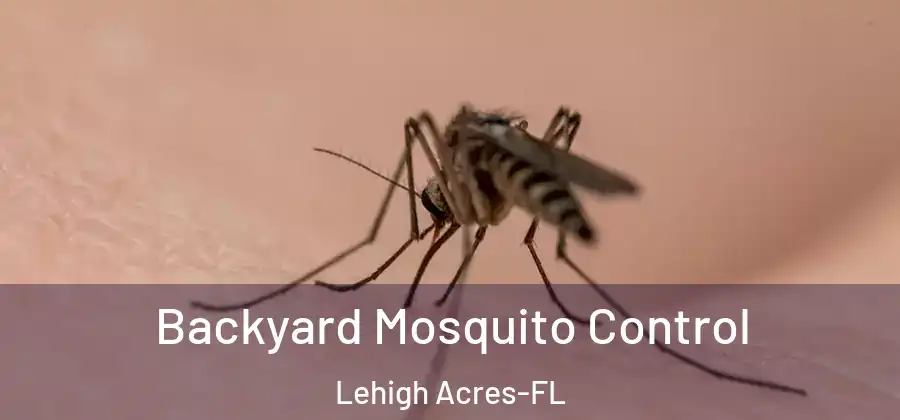 Backyard Mosquito Control Lehigh Acres-FL