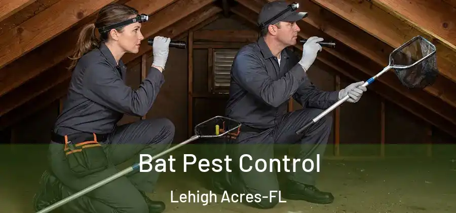 Bat Pest Control Lehigh Acres-FL