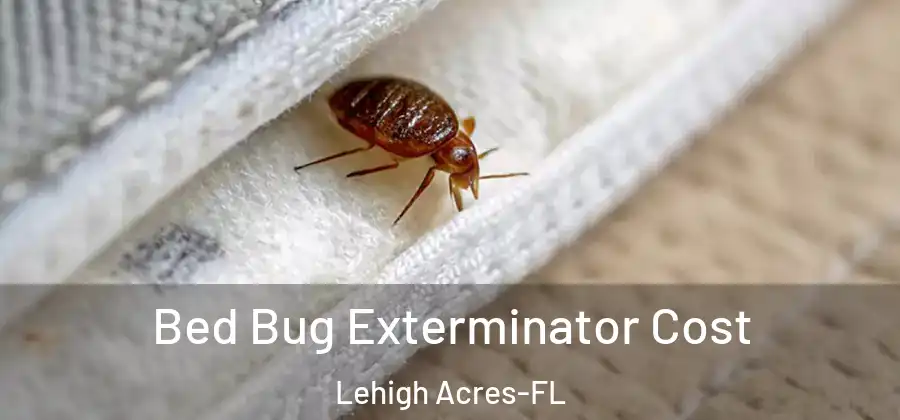 Bed Bug Exterminator Cost Lehigh Acres-FL