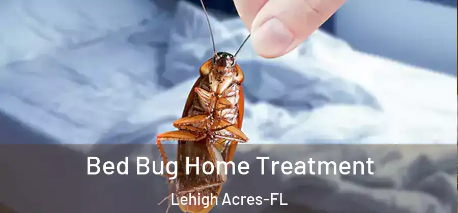  Bed Bug Home Treatment Lehigh Acres-FL