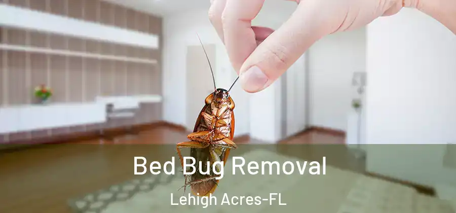 Bed Bug Removal Lehigh Acres-FL