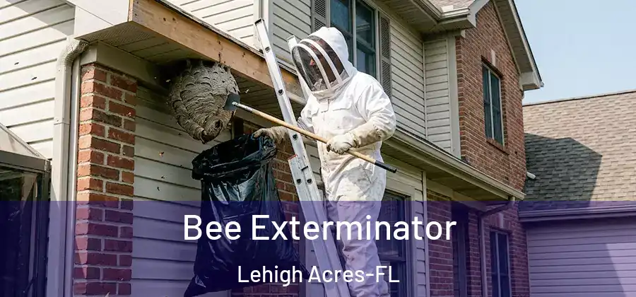 Bee Exterminator Lehigh Acres-FL