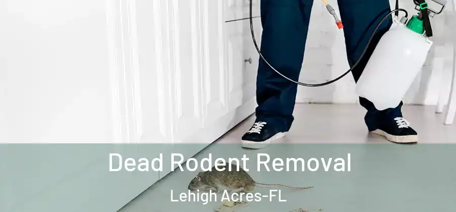 Dead Rodent Removal Lehigh Acres-FL