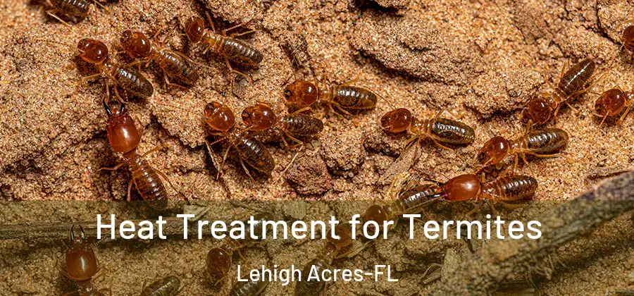 Heat Treatment for Termites Lehigh Acres-FL