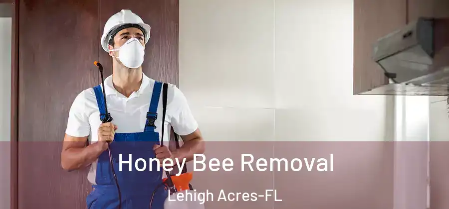 Honey Bee Removal Lehigh Acres-FL