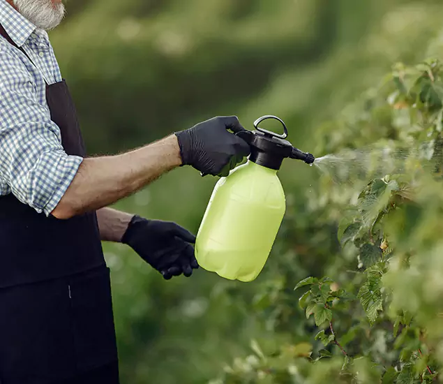 Your Proven Mosquito Treatment Company in Lehigh Acres, FL