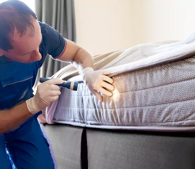 Trusted Bed Bug Cost Experts in Lehigh Acres, FL