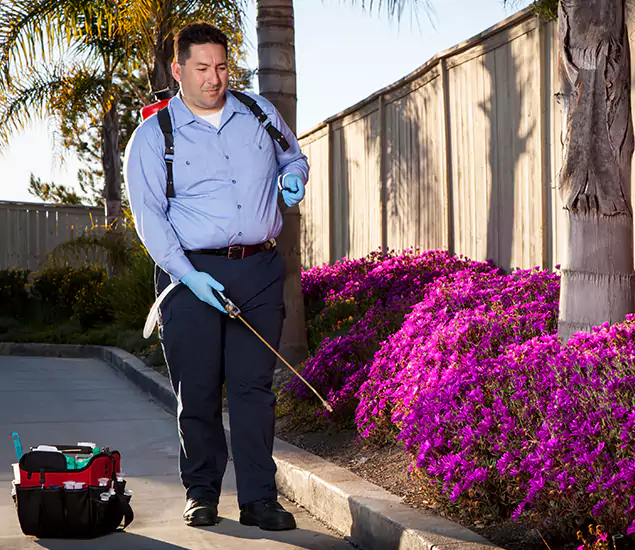 About Our Eco Safe Pest Control Experts in Lehigh Acres, FL