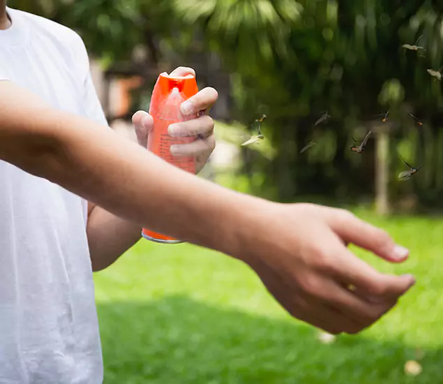 Your Best Indoor Bug Killer Team in Lehigh Acres, FL