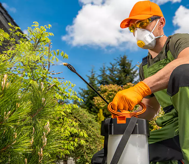 Your Best Bug Spray for Home Team in Lehigh Acres, FL