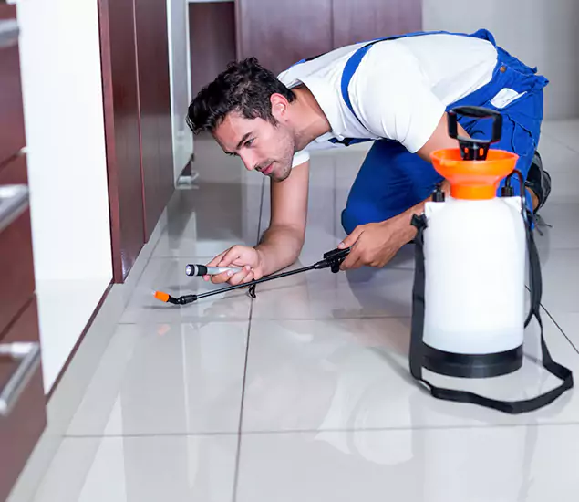 Reliable Professional Mouse Removal: Your Best Mouse Control Company in Lehigh Acres, FL