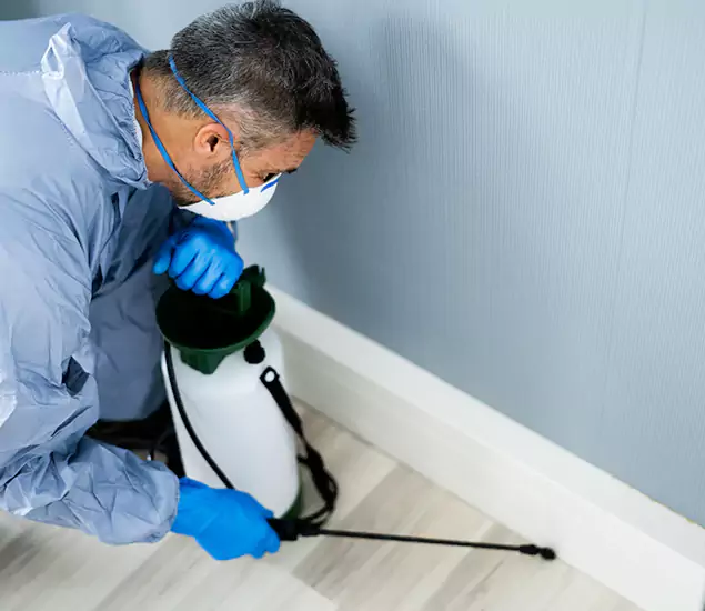 Reliable Termite Cost Experts in Lehigh Acres, FL