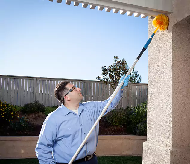 Your Trusted Wasp Removal Company in Lehigh Acres, FL