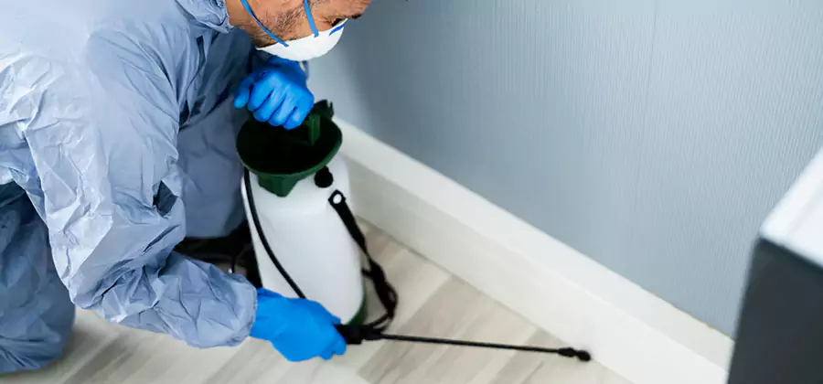 Fumigate Apartment Roaches in Lehigh Acres