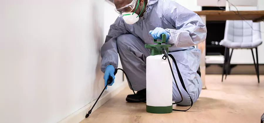 Long Lasting Mosquito Treatment in Lehigh Acres