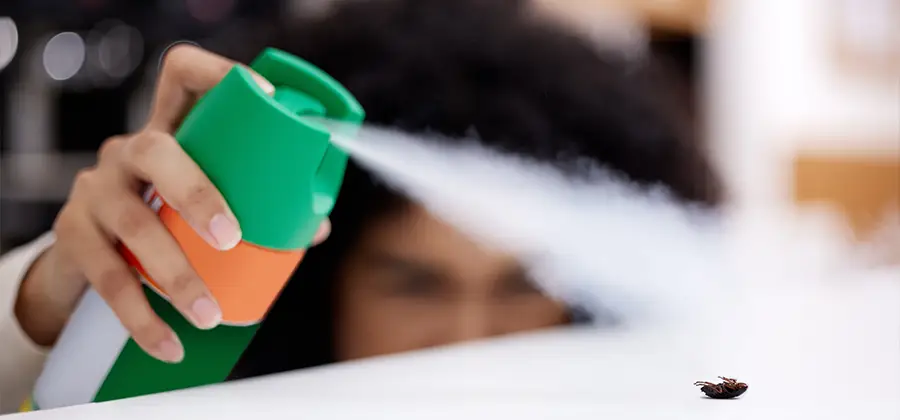 Child Safe Bed Bug Treatment in Lehigh Acres