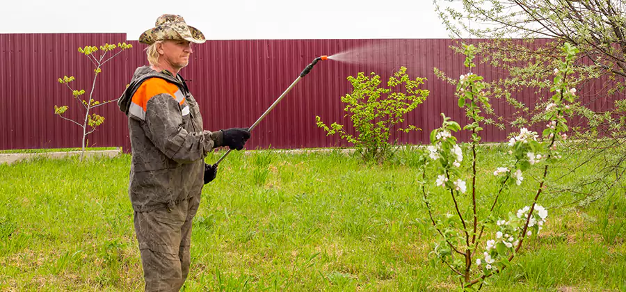 Flea and Tick Spray for Yard in Lehigh Acres