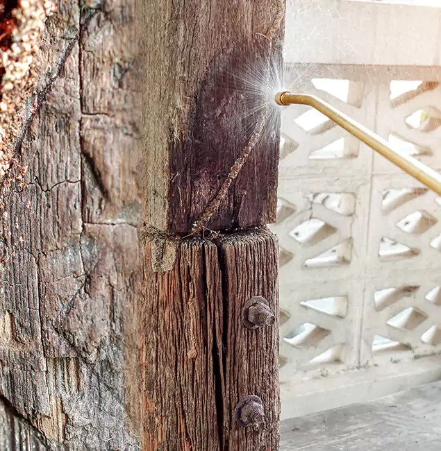 Why Choose Lehigh Acres Pest Control Pro for Attic Termite Treatment in Lehigh Acres, FL?