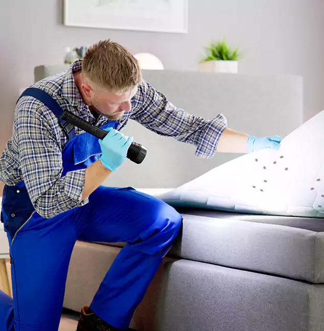 Why Choose Lehigh Acres Pest Control Pro for Bed Bug Exterminator Cost in Lehigh Acres, FL?