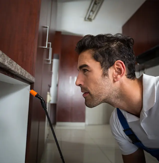 Why Choose Lehigh Acres Pest Control Pro for Bed Bug Removal Cost in Lehigh Acres, FL?