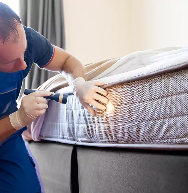 Why Choose Lehigh Acres Pest Control Pro for Bed Bug Services in Lehigh Acres, FL?