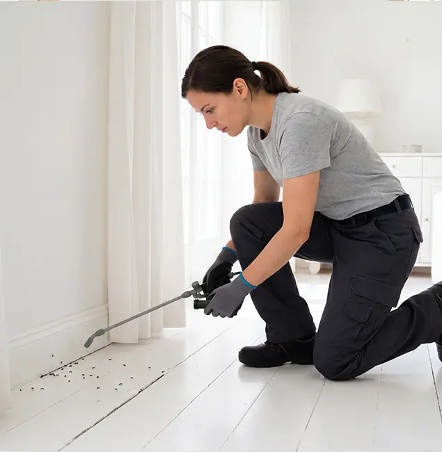 Why Lehigh Acres, FL Property Owners Trust Lehigh Acres Pest Control Pro for Fire Ant Control?