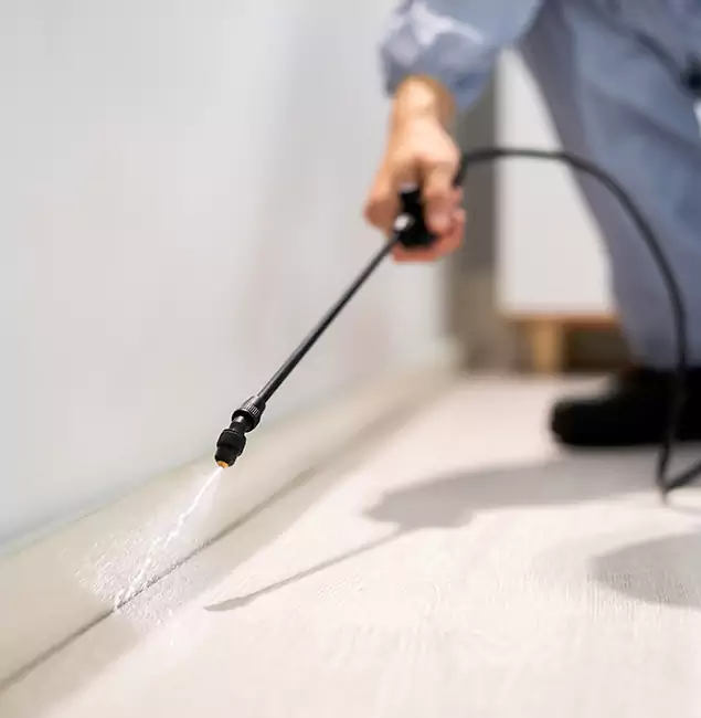 Why Choose Lehigh Acres Pest Control Pro for Termite Treatment in Lehigh Acres, FL?