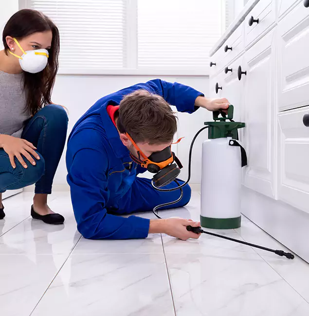 Why Lehigh Acres, FL Homeowners Trust Lehigh Acres Pest Control Pro for Roach Control?