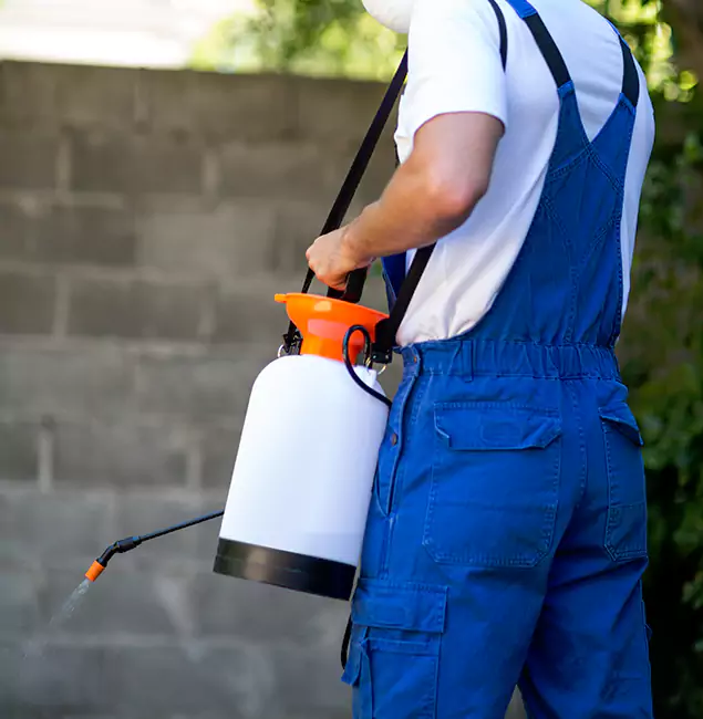 Why Lehigh Acres Homeowners Rely on Lehigh Acres Pest Control Pro for Mosquito Control?