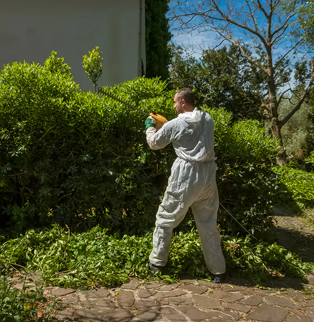 Why Lehigh Acres Pest Control Pro Leads Mosquito Control in Lehigh Acres, FL?