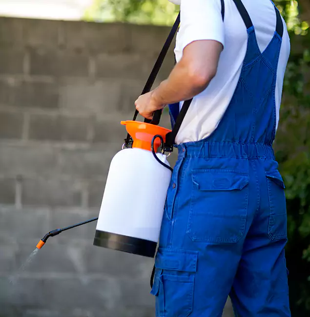 Why Lehigh Acres Pest Control Pro Delivers the Best Mosquito Control in Lehigh Acres, FL?