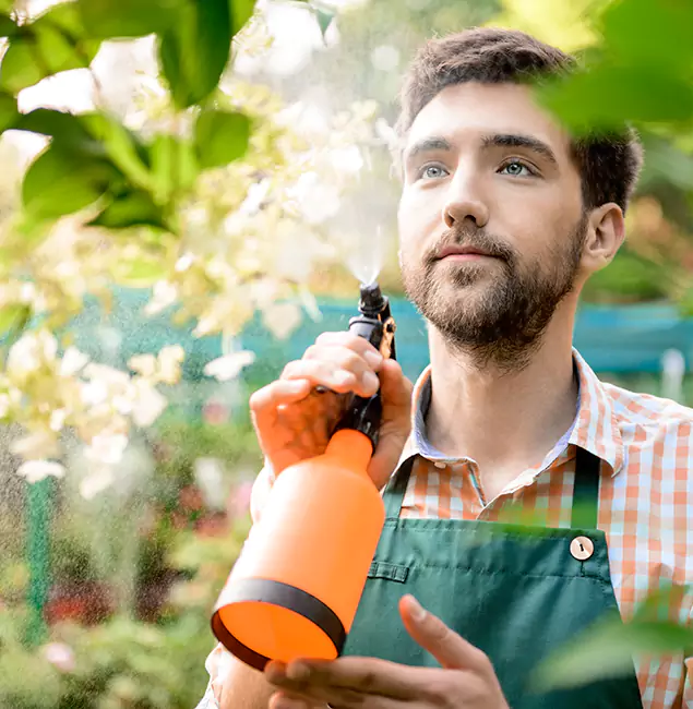Why Lehigh Acres Homeowners Call Lehigh Acres Pest Control Pro for Mosquitoes in House?