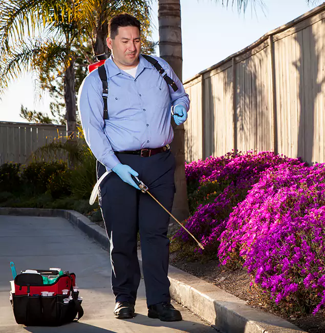 Why Choose Lehigh Acres Pest Control Pro in Lehigh Acres, FL?