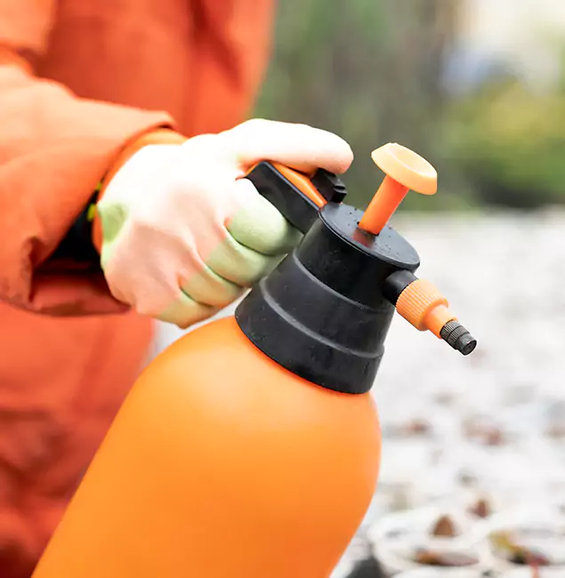 Why Choose Lehigh Acres Pest Control Pro for Orange Termite Treatment in Lehigh Acres, FL?