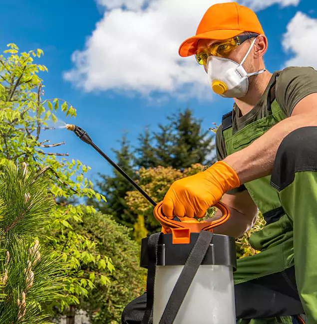 Why Choose Lehigh Acres Pest Control Pro for Outdoor Pest Control in Lehigh Acres, FL?