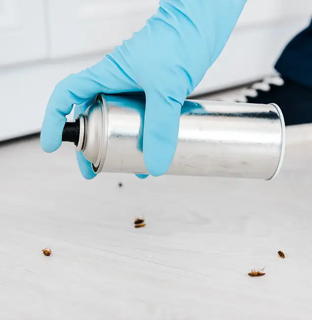Why Choose Lehigh Acres Pest Control Pro for Safe Bed Bug Treatment in Lehigh Acres, FL?