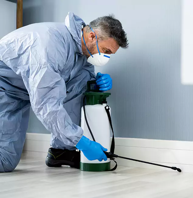 Why Choose Lehigh Acres Pest Control Pro for Subterranean Termites Treatment in Lehigh Acres, FL?