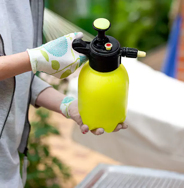 Why Choose Us: Lehigh Acres Pest Control Pro Termite Spraying Experts in Lehigh Acres, FL?