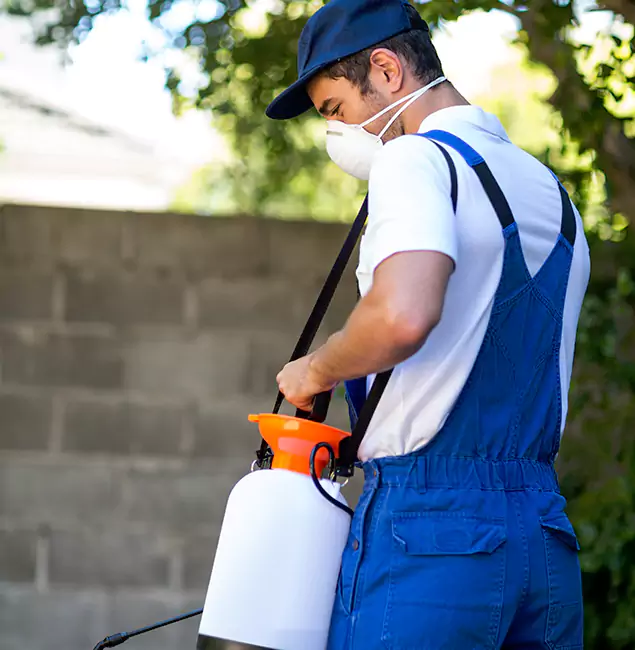 Why Lehigh Acres Pest Control Pro Is the Right Choice for Yellow Jacket Removal in Lehigh Acres, FL?