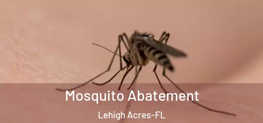 Mosquito Abatement Lehigh Acres-FL