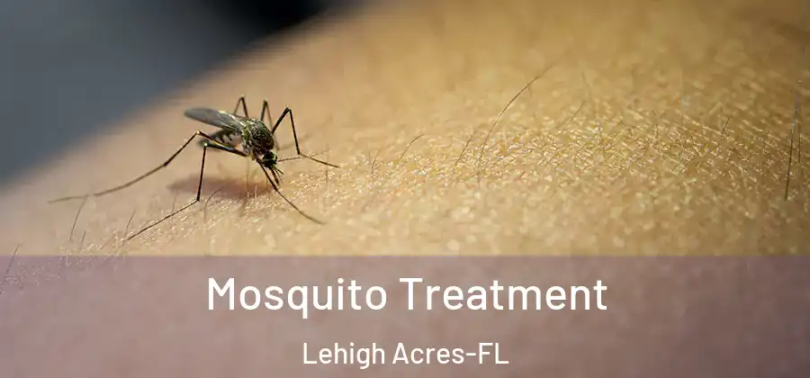 Mosquito Treatment Lehigh Acres-FL