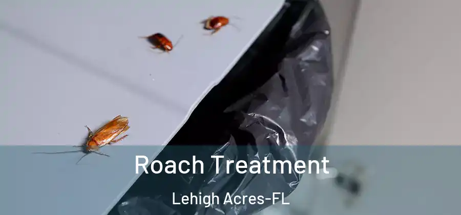 Roach Treatment Lehigh Acres-FL