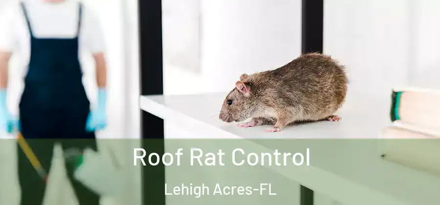  Roof Rat Control Lehigh Acres-FL