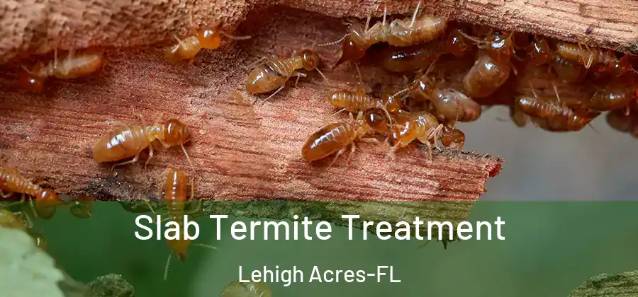  Slab Termite Treatment Lehigh Acres-FL