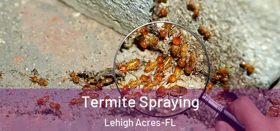 Termite Spraying Lehigh Acres-FL