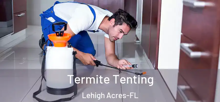 Termite Tenting Lehigh Acres-FL