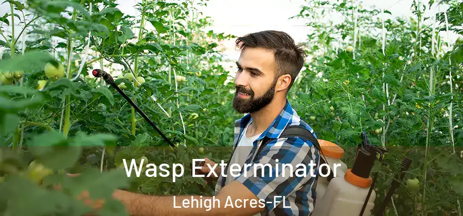 Wasp Exterminator Lehigh Acres-FL